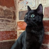 Photo of Gretel
