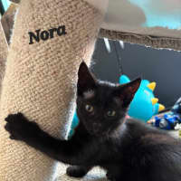 Photo of Nora