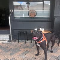 Photo of Huckleberry 