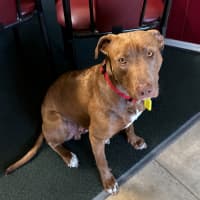 Photo of Ralph