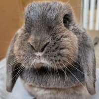 Photo of Louise