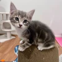 Photo of Avery   In Foster Care In Doreen