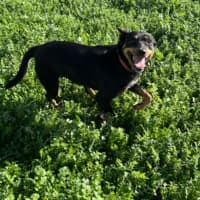 Photo of Lexi