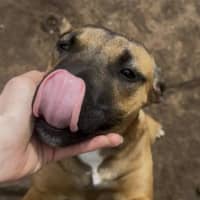 Photo of Miss. Honey