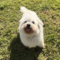Photo of Charlie