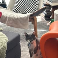 Photo of Principal Flutie 