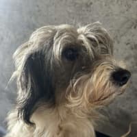 Photo of Storm