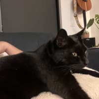 Photo of Holly