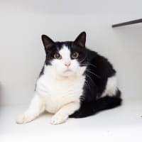 Photo of Ivy