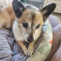 Photo of Leo O’cleary