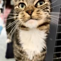Photo of Myrtle
