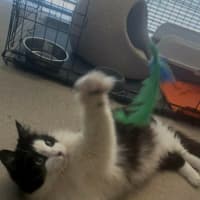 Photo of Timmy