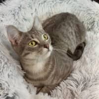 Photo of Liddy