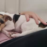 Photo of Coco Newhaven