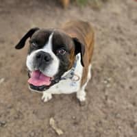 Photo of Ralphy