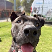 Photo of Beverly