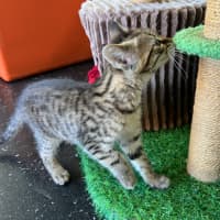Photo of Asher