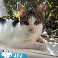 Photo of Ada