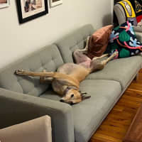 Photo of Sandy
