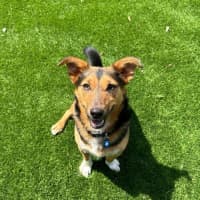 Photo of Wally