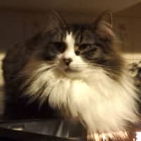 Photo of Helena