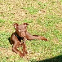 Photo of Oscar