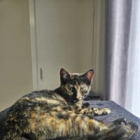 Photo of Jane (Now Maggie)