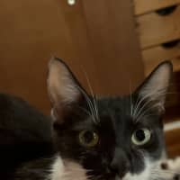 Photo of Mo