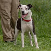 Photo of Nyla