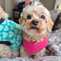 Photo of Charlie Silvanus