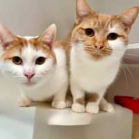 Photo of Dottie And Tyrone