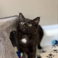 Photo of Nora