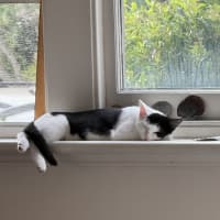 Photo of Pumpkin And Feta