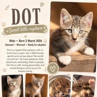 Photo of Dot