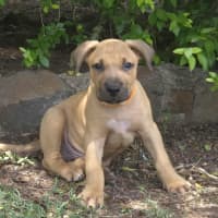 Photo of Lukas