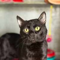 Photo of Mister