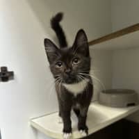 Photo of Leeroy Jenkins