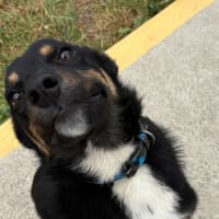 Photo of Goober