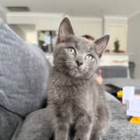 Photo of Harley & Harper