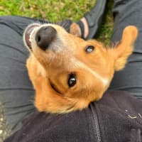 Photo of Albie