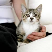 Photo of Lyla