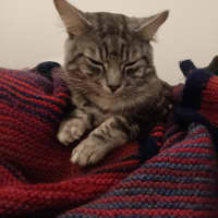 Photo of Gideon
