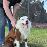 Photo of Hershey