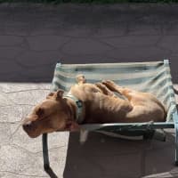 Photo of Lucy