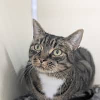 Photo of 🎮 Nippet 5903 🎮