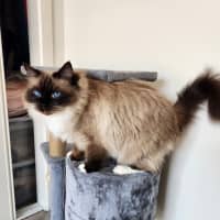 Photo of Arlo & Coco