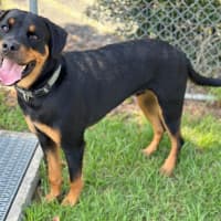 Photo of Finley