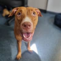 Photo of Sunny