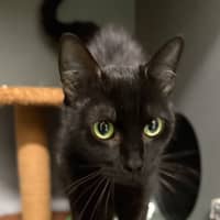 Photo of Faye