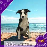Photo of Bella